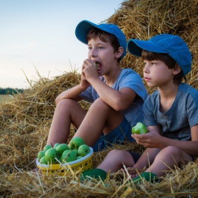 village-children-farm